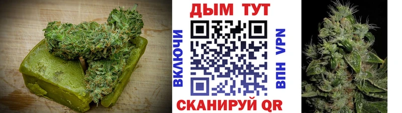 Cannafood конопля  hydra онион  Фролово 