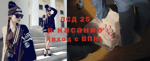 прущие грибы Арсеньев