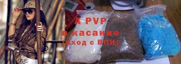 хмурый Аркадак