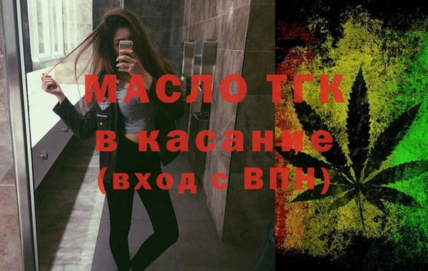 хмурый Аркадак