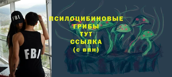 прущие грибы Арсеньев