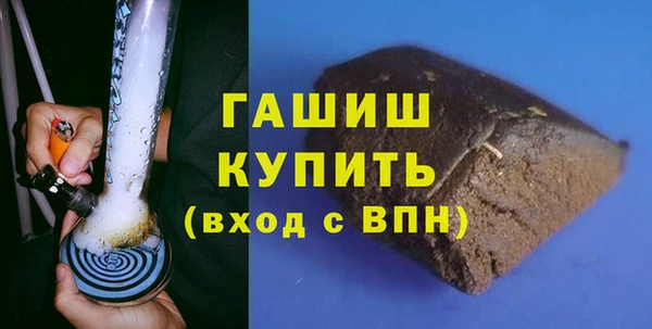хмурый Аркадак