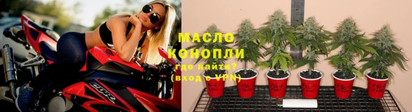 прущие грибы Арсеньев