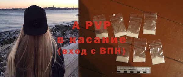 хмурый Аркадак