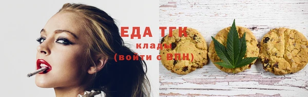 хмурый Аркадак