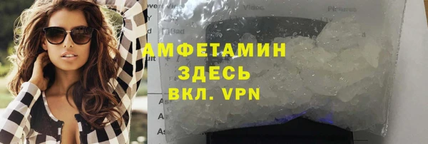 прущие грибы Арсеньев