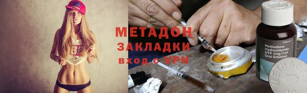 прущие грибы Арсеньев