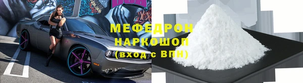 хмурый Аркадак
