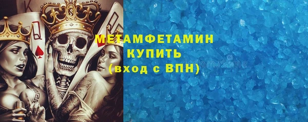 хмурый Аркадак