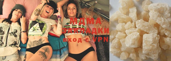 хмурый Аркадак