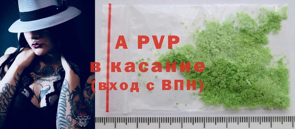 хмурый Аркадак
