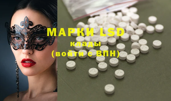 прущие грибы Арсеньев